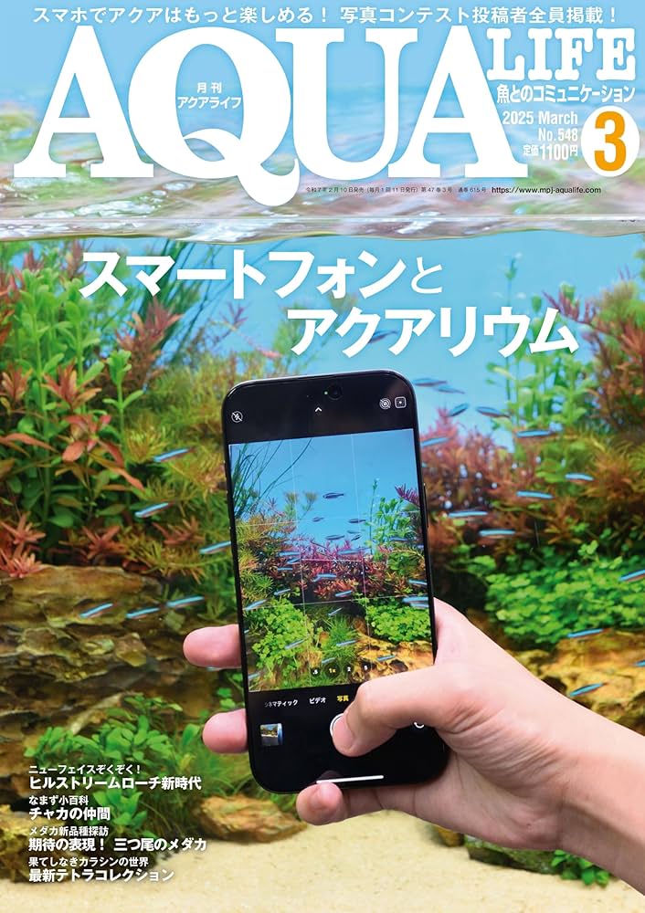 月刊アクアライフ 2025年03月号 スマートフォンとアクアリウム